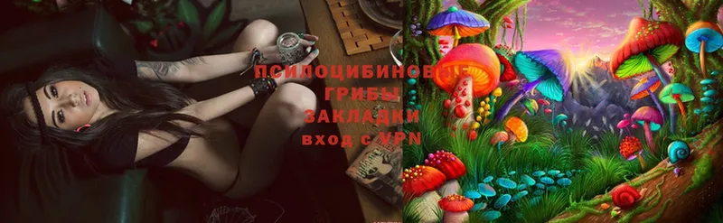 Галлюциногенные грибы Magic Shrooms  Чехов 